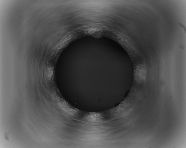 X0000103130278200808221200