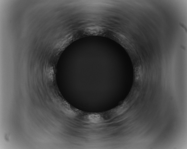X0000103130279200808221200