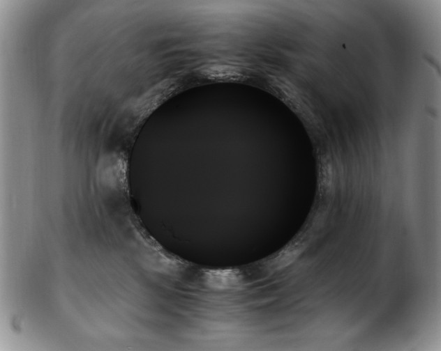 X0000103130281200808221200