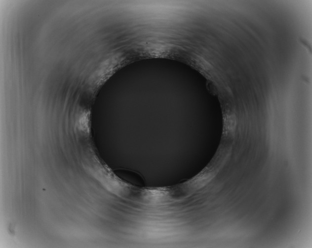 X0000103130286200808221201