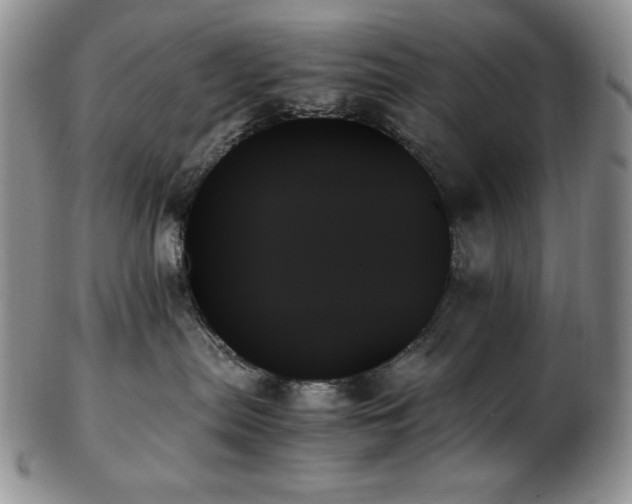X0000103130287200808221201