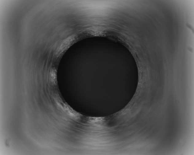 X0000103130288200808221201