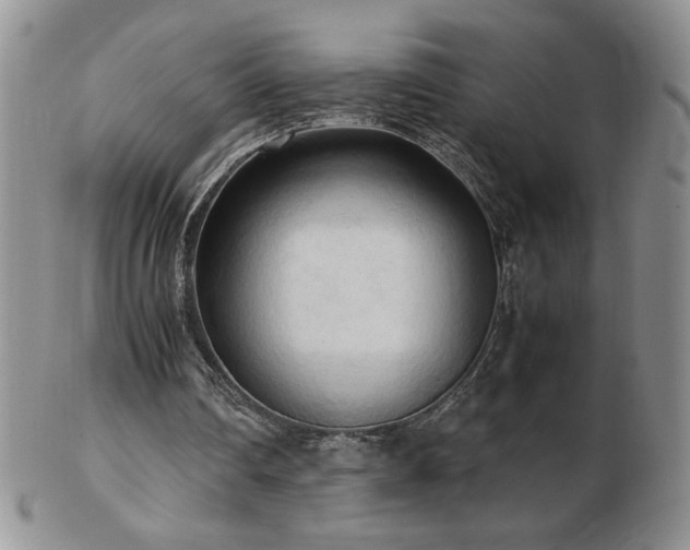 X0000103130290200808221200