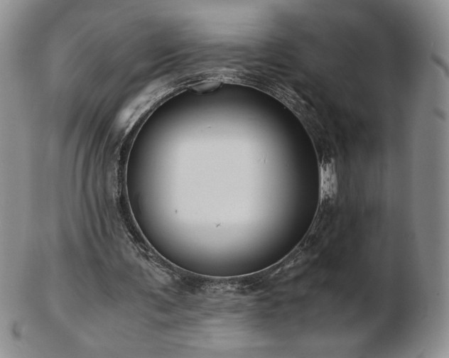 X0000103130291200808221200