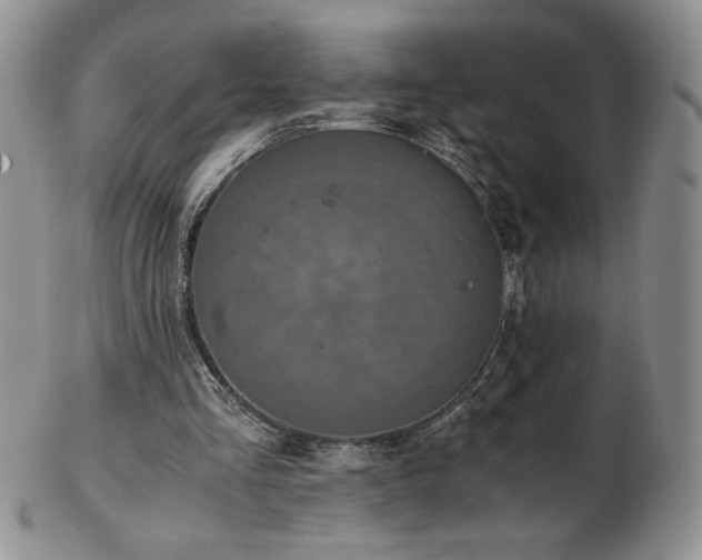 X0000103130293200808221200