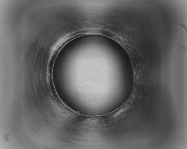 X0000103130294200808221200