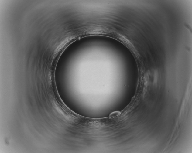 X0000103130298200808221200