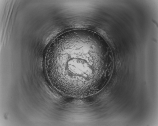 X0000103130299200808221200
