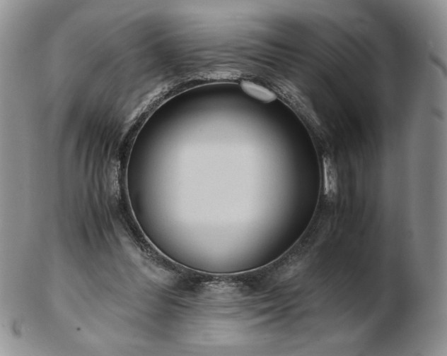 X0000103130300200808221200