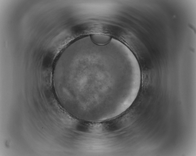 X0000103130301200808221200