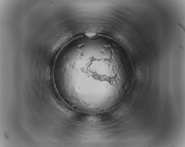 X0000103130303200808221200