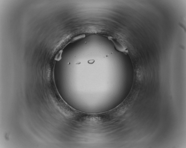 X0000103130304200808221200