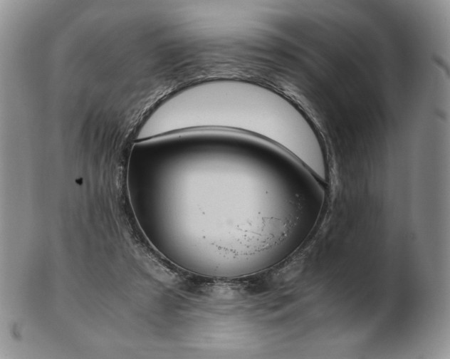 X0000103130305200808221200