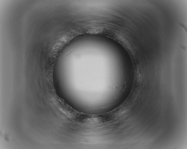 X0000103130307200808221200