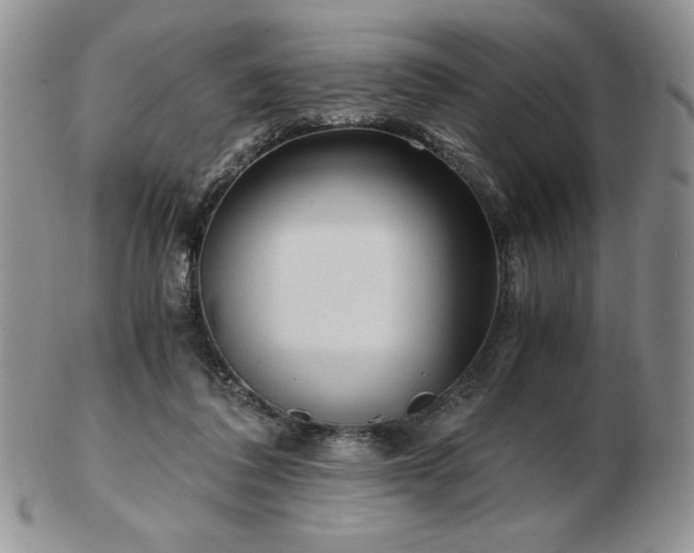 X0000103130308200808221200