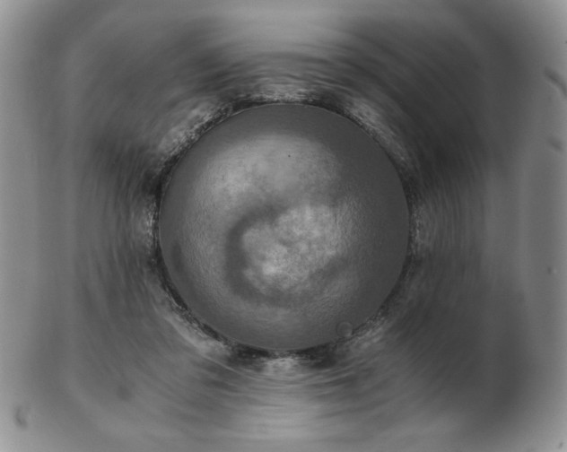 X0000103130309200808221200