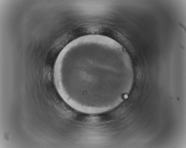 X0000103130313200808221200