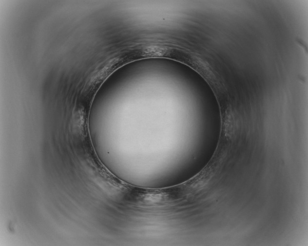 X0000103130314200808221200