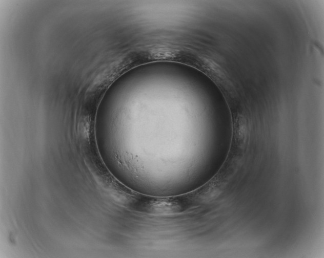 X0000103130315200808221159