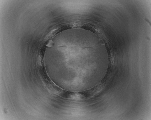 X0000103130316200808221159