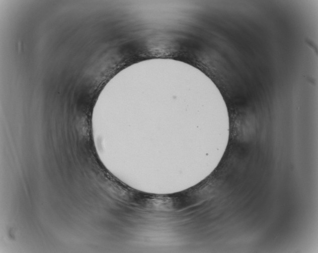 X0000103130317200808221159
