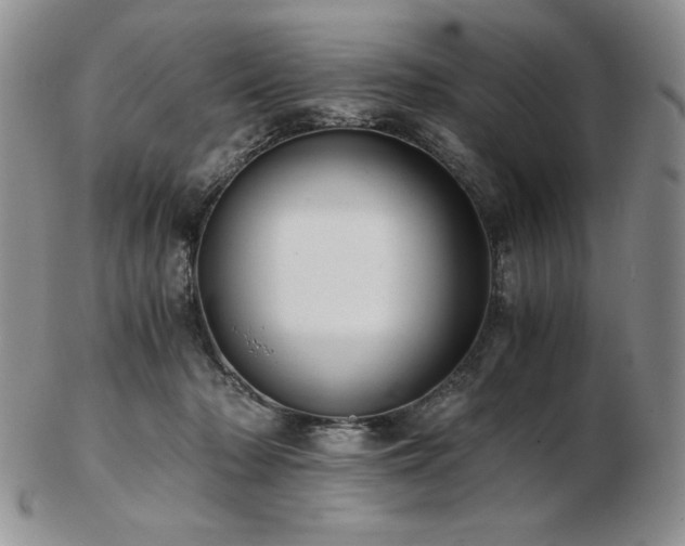 X0000103130318200808221159