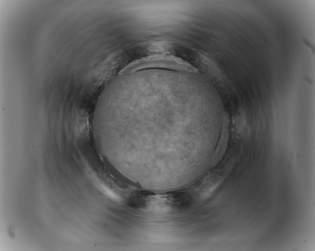 X0000103130320200808221159