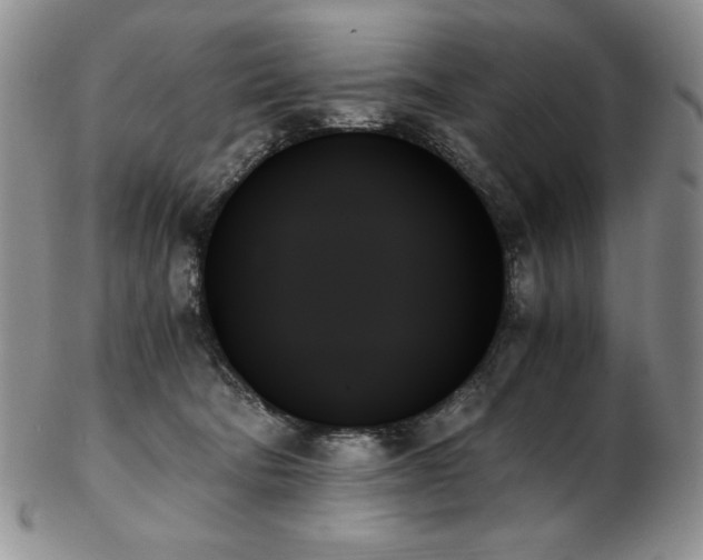 X0000103130322200808221159