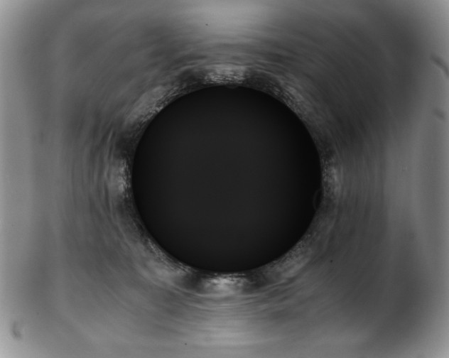 X0000103130323200808221159