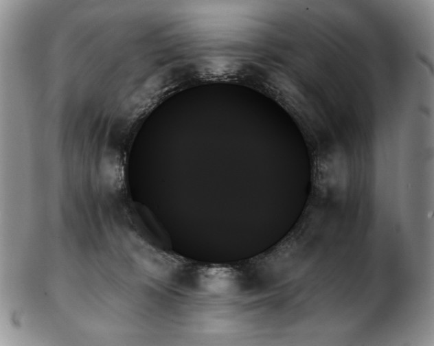 X0000103130324200808221159