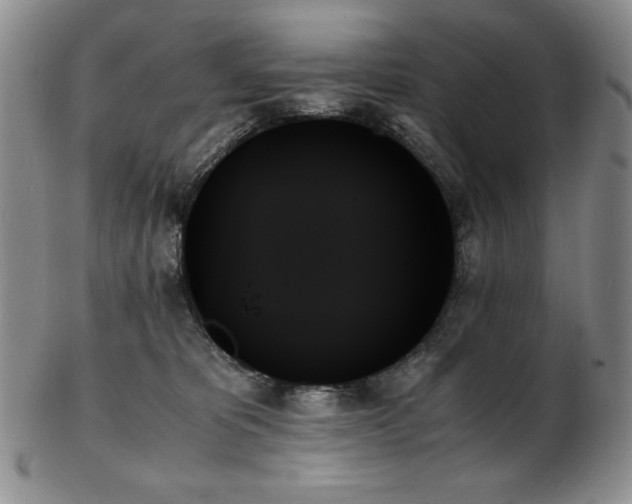 X0000103130325200808221159