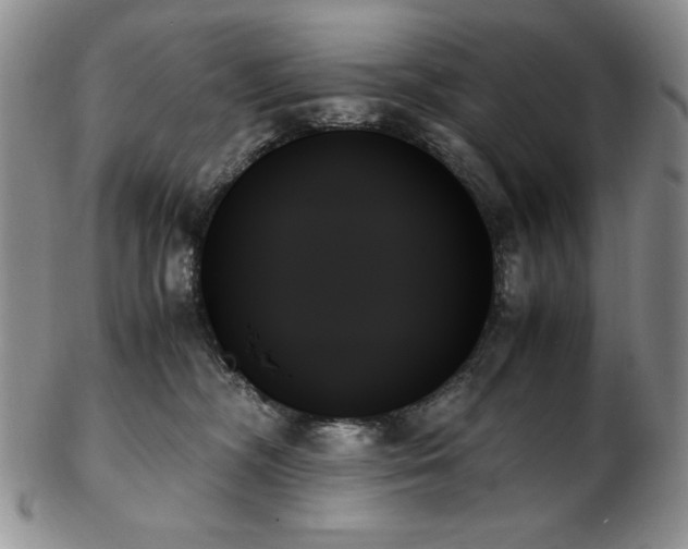 X0000103130326200808221159