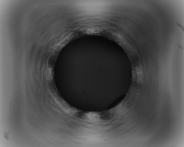 X0000103130327200808221159