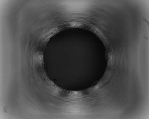 X0000103130329200808221159