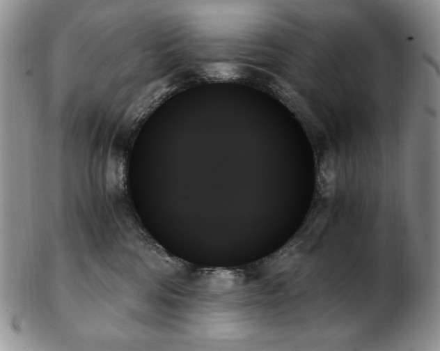X0000103130330200808221159