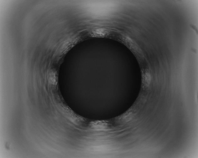 X0000103130331200808221159