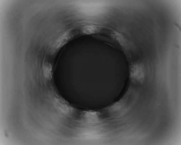 X0000103130332200808221159