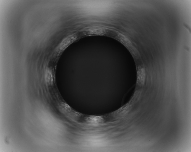 X0000103130333200808221159