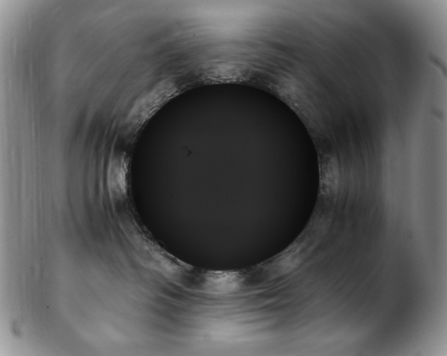 X0000103130334200808221159