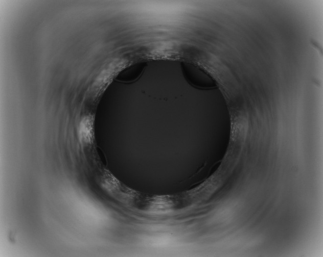 X0000103130335200808221159