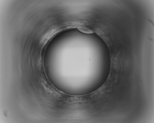 X0000103130338200808221159