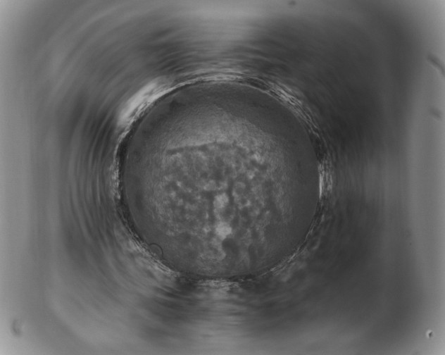 X0000103130339200808221159