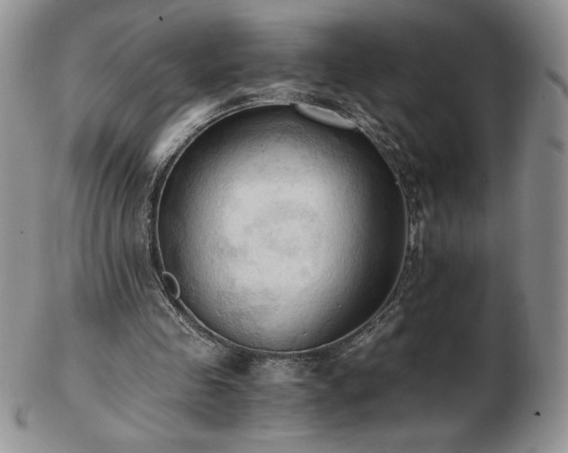 X0000103130341200808221159