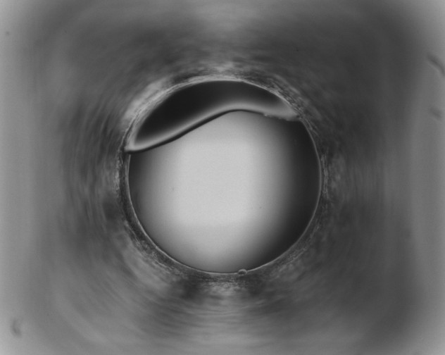 X0000103130344200808221159