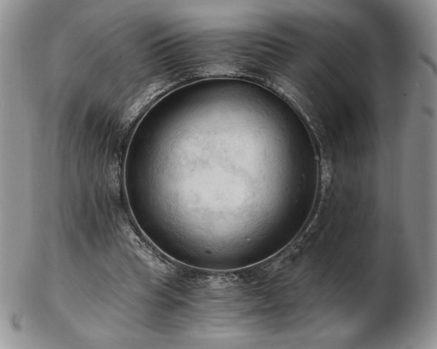 X0000103130345200808221159