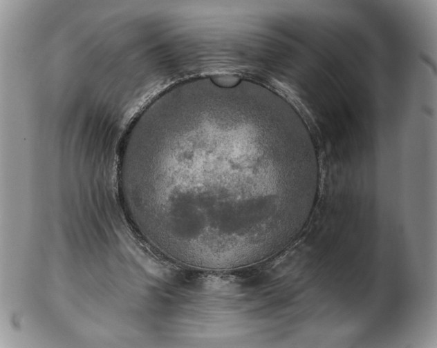 X0000103130346200808221159
