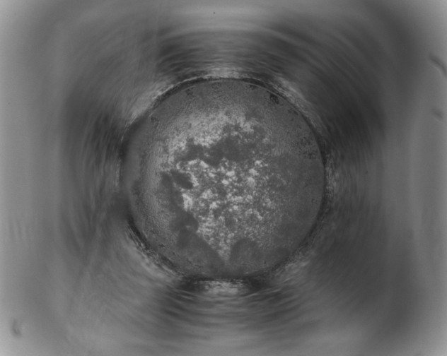 X0000103130347200808221159