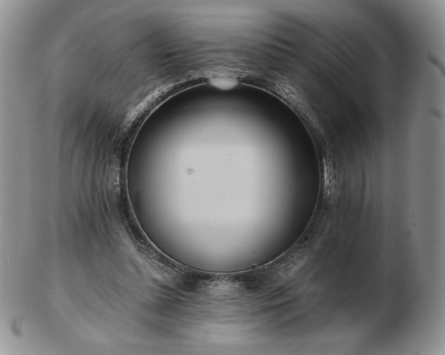 X0000103130348200808221159