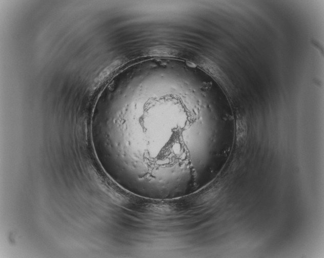 X0000103130349200808221159