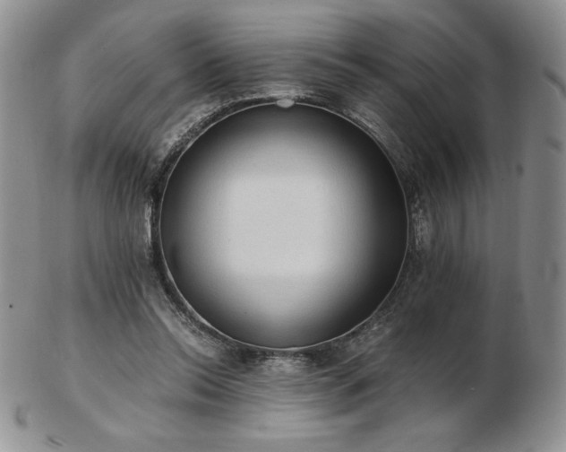 X0000103130350200808221159